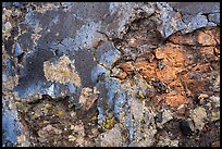 Close-up of cracked lava with blue tints of the Blue Dragon flow. Craters of the Moon National Monument and Preserve, Idaho, USA ( color)