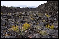 Lava flow near Broken Top. Craters of the Moon National Monument and Preserve, Idaho, USA ( color)