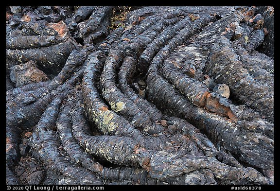 Close-up of Pahoehoe lava. Craters of the Moon National Monument and Preserve, Idaho, USA (color)