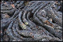Close-up of Pahoehoe lava. Craters of the Moon National Monument and Preserve, Idaho, USA ( color)
