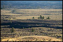Lava and sagebrush on Snake River Plain. Craters of the Moon National Monument and Preserve, Idaho, USA ( color)