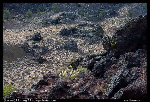 Flowers and dark lava rocks. Craters of the Moon National Monument and Preserve, Idaho, USA (color)