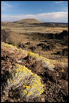Sagebrush in bloom and Crescent Butte from Echo Crater. Craters of the Moon National Monument and Preserve, Idaho, USA ( color)