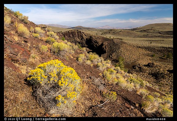 Sagebrush in bloom on Echo Crater. Craters of the Moon National Monument and Preserve, Idaho, USA (color)