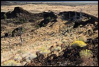 Collapsed crater side with sagebrush in bloom. Craters of the Moon National Monument and Preserve, Idaho, USA ( color)