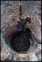 Hole left in lava rock by tree. Craters of the Moon National Monument and Preserve, Idaho, USA ( color)