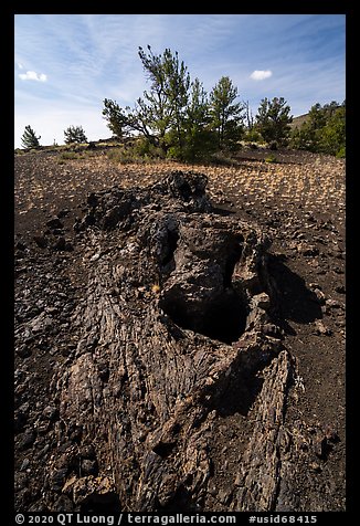 Lava tree. Craters of the Moon National Monument and Preserve, Idaho, USA (color)