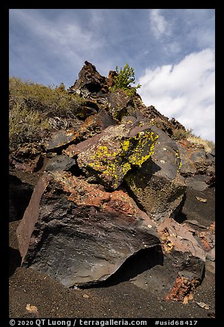 Basalt rocks with lichen. Craters of the Moon National Monument and Preserve, Idaho, USA (color)