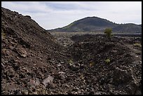 Broken Top flanks and Big Cinder Butte. Craters of the Moon National Monument and Preserve, Idaho, USA ( color)