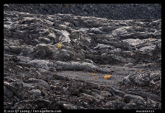 Lava cascades. Craters of the Moon National Monument and Preserve, Idaho, USA (color)