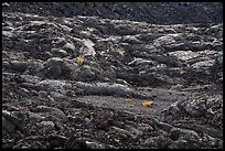 Lava cascades. Craters of the Moon National Monument and Preserve, Idaho, USA ( color)