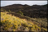 North and Big Craters. Craters of the Moon National Monument and Preserve, Idaho, USA ( color)