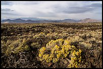 Sagebrush and Pioneer Mountains. Craters of the Moon National Monument and Preserve, Idaho, USA ( color)