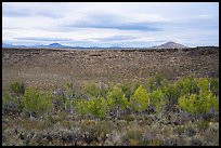 Snowdrift Crater. Craters of the Moon National Monument and Preserve, Idaho, USA ( color)