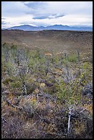 Snowdrift Crater with aspen. Craters of the Moon National Monument and Preserve, Idaho, USA ( color)