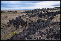 Edge of Laidlaw Kipuka from Lava Point. Craters of the Moon National Monument and Preserve, Idaho, USA ( color)