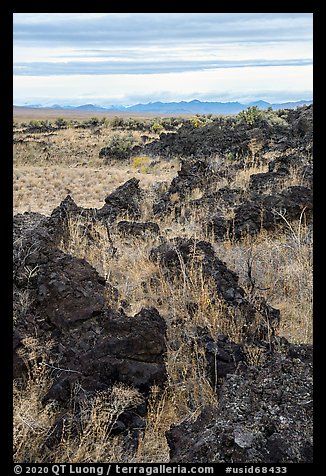 Grassy lava flow at Lava Point. Craters of the Moon National Monument and Preserve, Idaho, USA