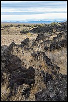 Grassy lava flow at Lava Point. Craters of the Moon National Monument and Preserve, Idaho, USA ( color)
