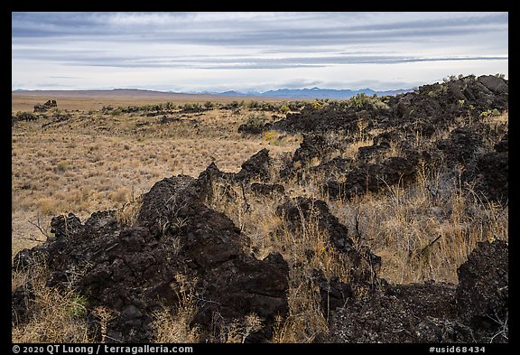 Sunflower, edge of Laidlaw Kipuka. Craters of the Moon National Monument and Preserve, Idaho, USA (color)