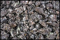 Close up of lava rocks with lichen. Craters of the Moon National Monument and Preserve, Idaho, USA ( color)