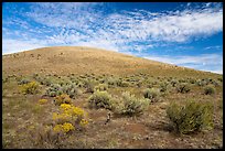 Rabbitbrush and Bear Den Butte. Craters of the Moon National Monument and Preserve, Idaho, USA ( color)