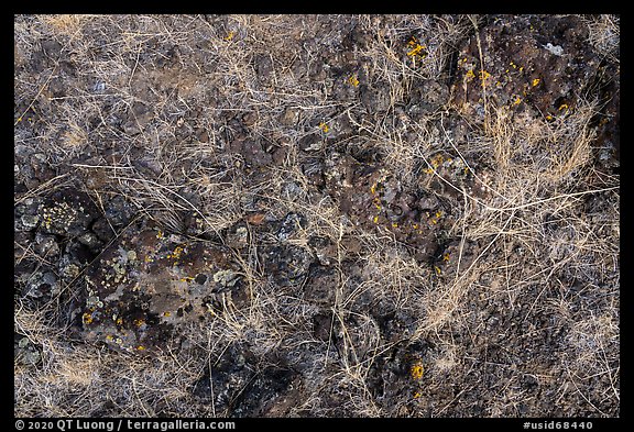 Close up of lava rocks with grasses. Craters of the Moon National Monument and Preserve, Idaho, USA (color)