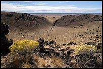 Rabbitbrush in bloom and breach of Bear Den Butte crater. Craters of the Moon National Monument and Preserve, Idaho, USA ( color)