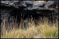Grasses and Bear Trap Cave entrance. Craters of the Moon National Monument and Preserve, Idaho, USA ( color)