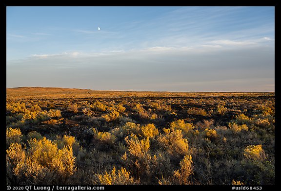 Sagebrush and moon near Wapi Park. Craters of the Moon National Monument and Preserve, Idaho, USA (color)