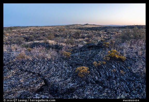 Pahoehoe lava from Wapi Flow and flowers at dawn. Craters of the Moon National Monument and Preserve, Idaho, USA (color)