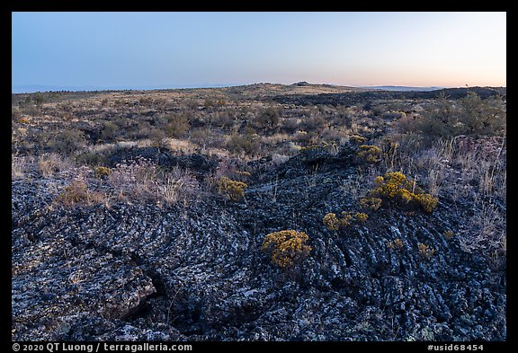 Pahoehoe lava from Wapi Flow and flowers at dawn. Craters of the Moon National Monument and Preserve, Idaho, USA (color)