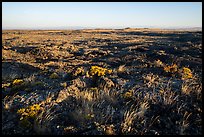 Wapi Flow at sunrise. Craters of the Moon National Monument and Preserve, Idaho, USA ( color)