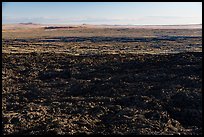 Wapi Flow from Pilar Butte. Craters of the Moon National Monument and Preserve, Idaho, USA ( color)