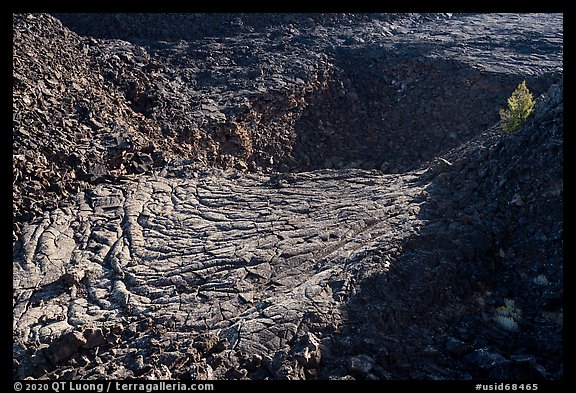 Former lava lake and tree, Pilar Butte. Craters of the Moon National Monument and Preserve, Idaho, USA (color)