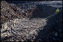 Former lava lake and tree, Pilar Butte. Craters of the Moon National Monument and Preserve, Idaho, USA ( color)