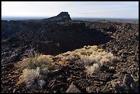 Rabbitbrush and crater, Pilar Butte. Craters of the Moon National Monument and Preserve, Idaho, USA ( color)