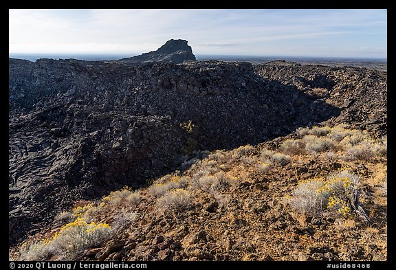 Rabbitbrush and plug on Pilar Butte shield volcano. Craters of the Moon National Monument and Preserve, Idaho, USA (color)