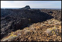 Rabbitbrush and plug on Pilar Butte shield volcano. Craters of the Moon National Monument and Preserve, Idaho, USA ( color)