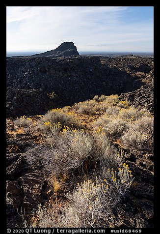 Rabbitbrush, crater, and plug, Pilar Butte. Craters of the Moon National Monument and Preserve, Idaho, USA (color)