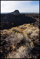 Rabbitbrush, crater, and plug, Pilar Butte. Craters of the Moon National Monument and Preserve, Idaho, USA ( color)