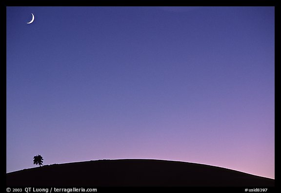 Pine on cinder cone and crescent moon. Craters of the Moon National Monument and Preserve, Idaho, USA