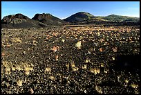 Scoria field with grasses and cinder cones. Craters of the Moon National Monument and Preserve, Idaho, USA