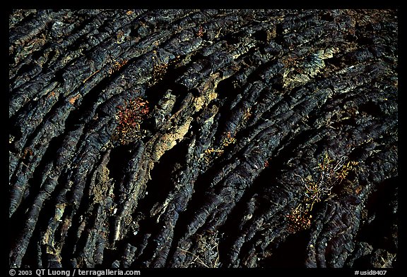 Close up of Hardened Lava. Craters of the Moon National Monument and Preserve, Idaho, USA (color)