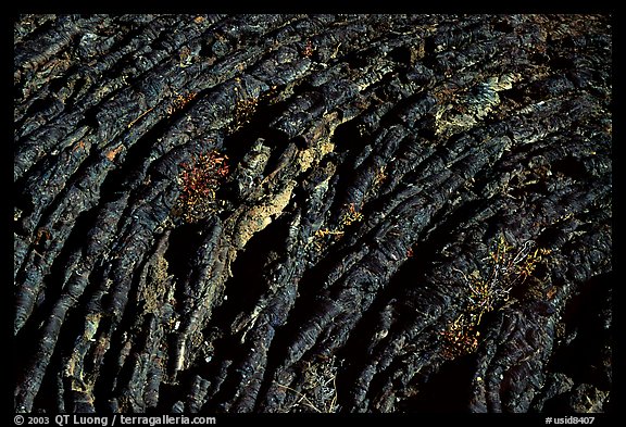 Hardened Lava, Craters of the Moon National Monument. Idaho, USA