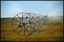 Irrigation wheels spraying water. Idaho, USA