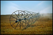 Irrigation wheels spraying water. Idaho, USA (color)