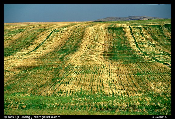 Field. Idaho, USA