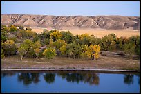 Missouri River, cottonwoods and badlands. Upper Missouri River Breaks National Monument, Montana, USA ( color)