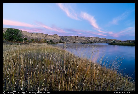 Grassy riverbank at dawn, Wood Bottom. Upper Missouri River Breaks National Monument, Montana, USA (color)