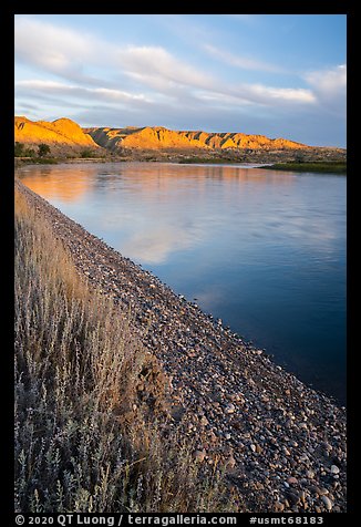 River shore at sunrise, Wood Bottom. Upper Missouri River Breaks National Monument, Montana, USA (color)